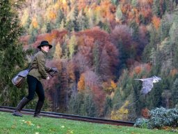 Photowalk - Hohenwerfen Castle - Falconry Austria